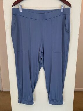 Lisa Rinna Slate Gray Jogger Pants Womens Petite Large Pockets Crop Zipper Legs